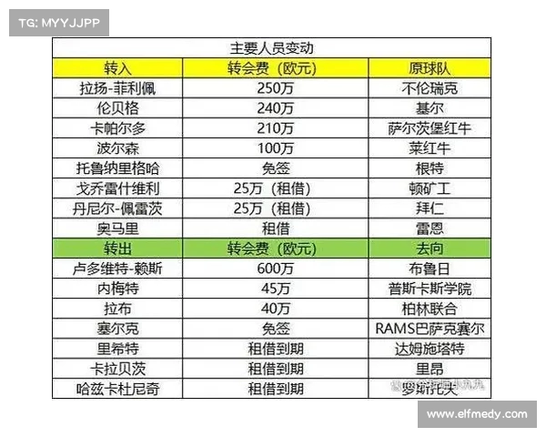 德甲球队最新完整名单及赛季前瞻分析各队实力对比